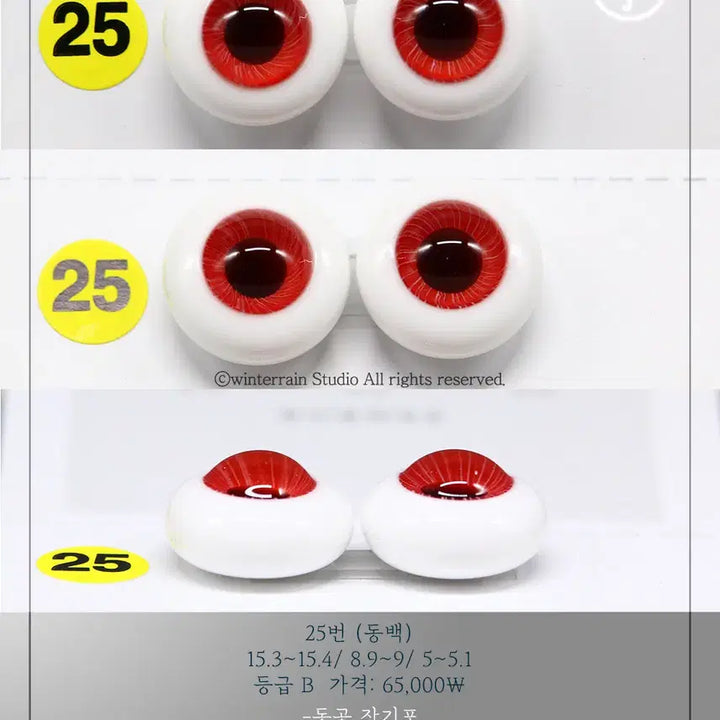 [BUNJANG] Winter B Studio Dongbaek 16mm Grade B / 겨울비스튜디오 동백