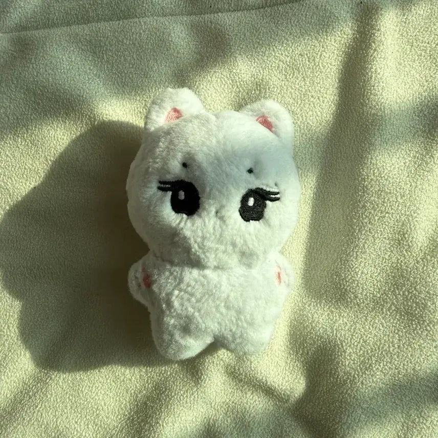 [BUNJANG] Enhypen Jungwon Doll / 엔하이픈 양정원 인형