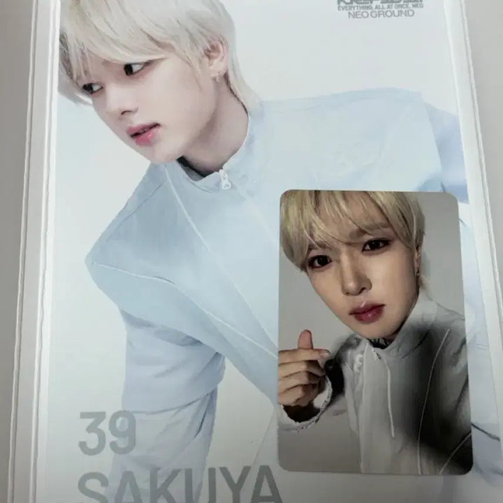 [BUNJANG] NCT 10th Anniversary Neo City: Japan Neo Ground Wish Group Photocard Set Sakuya / 엔시티 10주년 팝업 네오그라운드 위시 단체 그룹 포토세트 사쿠야 포카