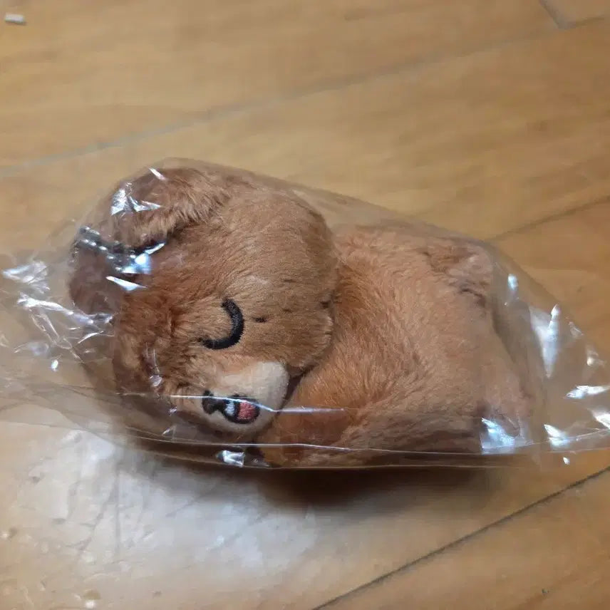 [BUNJANG] NCT Haechan Dreaming Bear Doll Gomdo / 드리밍곰도 엔시티 해찬 인형 곰도 이곰도