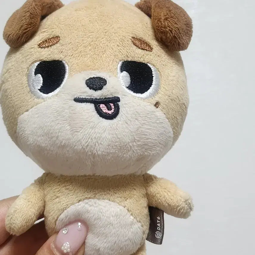 [BUNJANG] Day6 Denimals Original Melongdon Plush / 데이식스 데니멀즈 오리지널 메롱돈 양도
