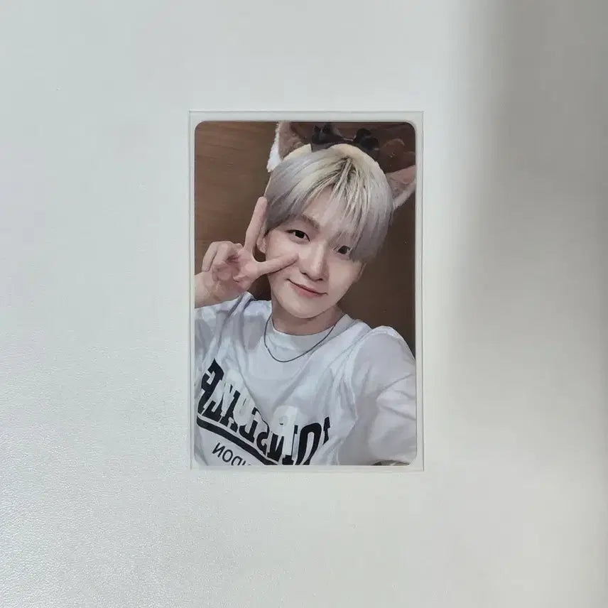 [BUNJANG] TWS Jihoon Photocard / 투어스 지훈 포카 판매