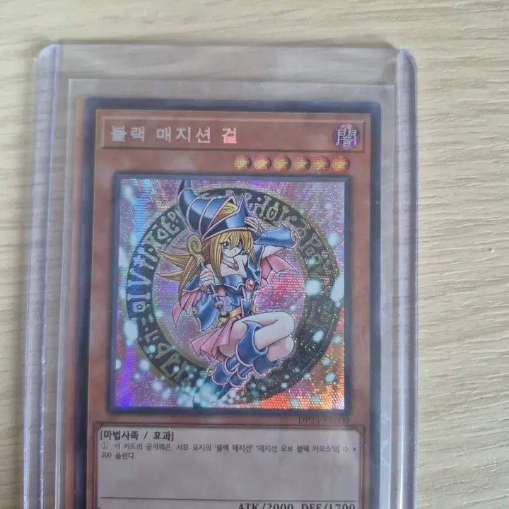 [BUNJANG] Dark Magician Girl &amp; Dark Magician Card / 블랙매지션 걸&amp;블랙매지션