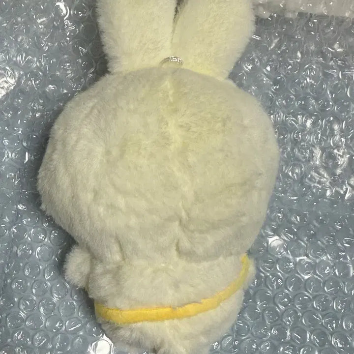 [BUNJANG] Nokdu Usagi Capybara Plush / 먼작귀 우사기 카피바라 인형