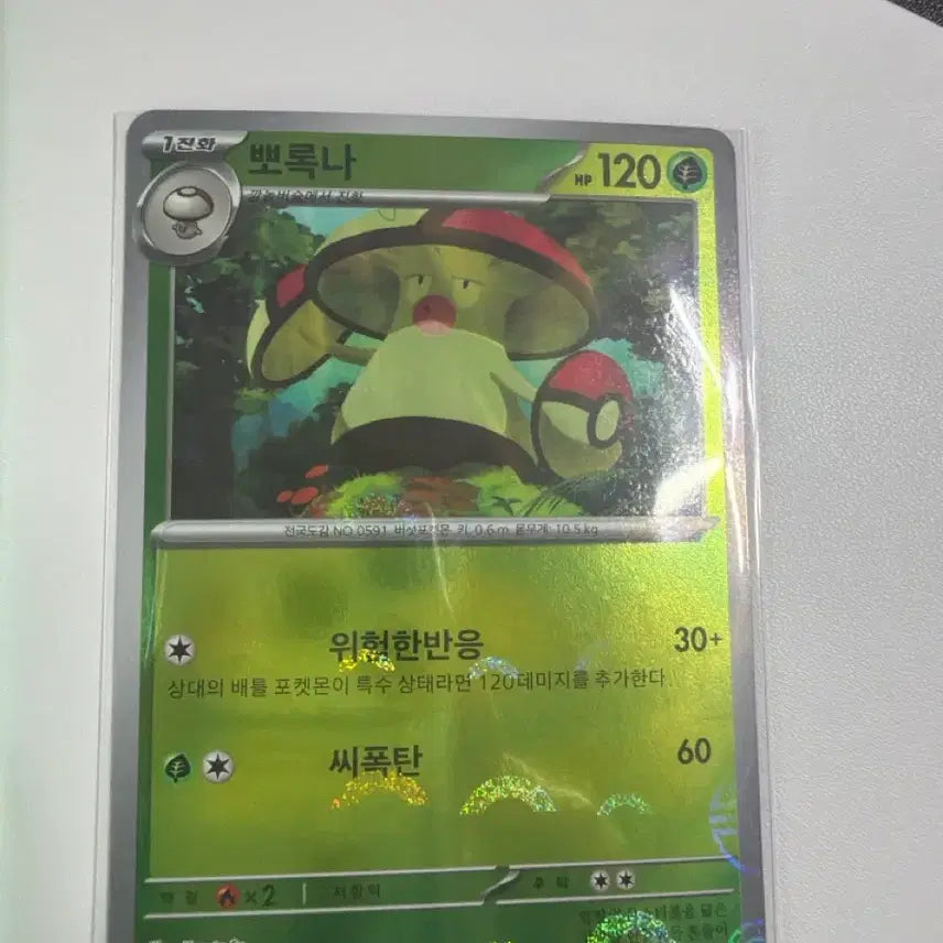[BUNJANG] Pokemon Card Deck Source Book - Porukna SV11b 011/086 / 포켓몬카드 덱소스 도감용 뽀록나 sv11b 011/086