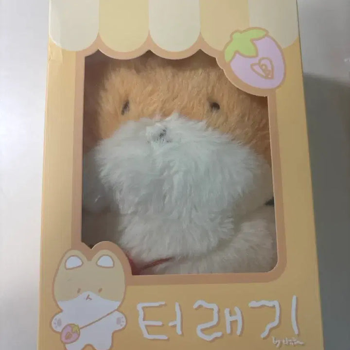 [BUNJANG] 20cm Bear Plush Bundle Set (Sealed) / 터래기 20cm, 터래기 파우치 미개봉 일괄 양도