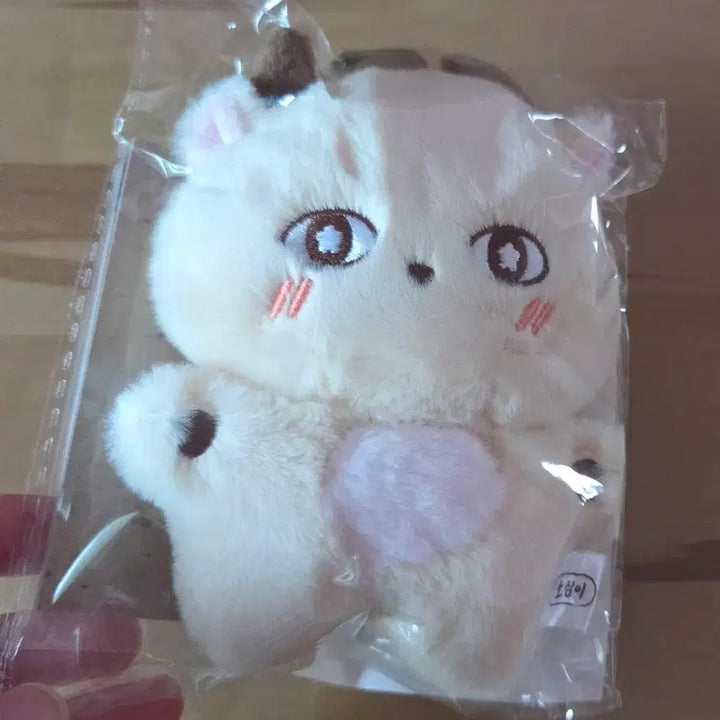 [BUNJANG] Park Ji Hoon "So-sim-i" Plush Doll (Original Price) / 박지훈 소심이 인형 원가 양도