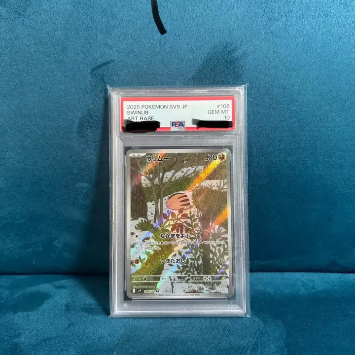 [BUNJANG] Pokemon Card Gimmighoul AR PSA 10 Japanese / 포켓몬 카드 꾸꾸리 AR PSA10 일판