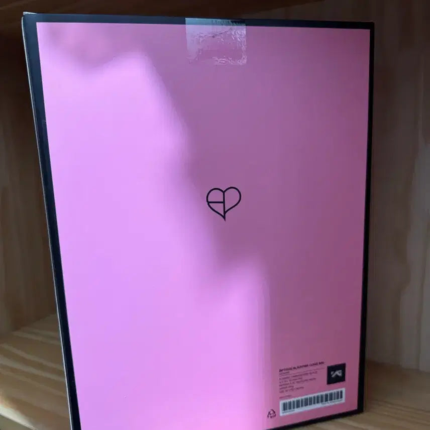 [BUNJANG] BLACKPINK Lightstick Bag Sealed / 블핑 응원봉 가방 미개봉