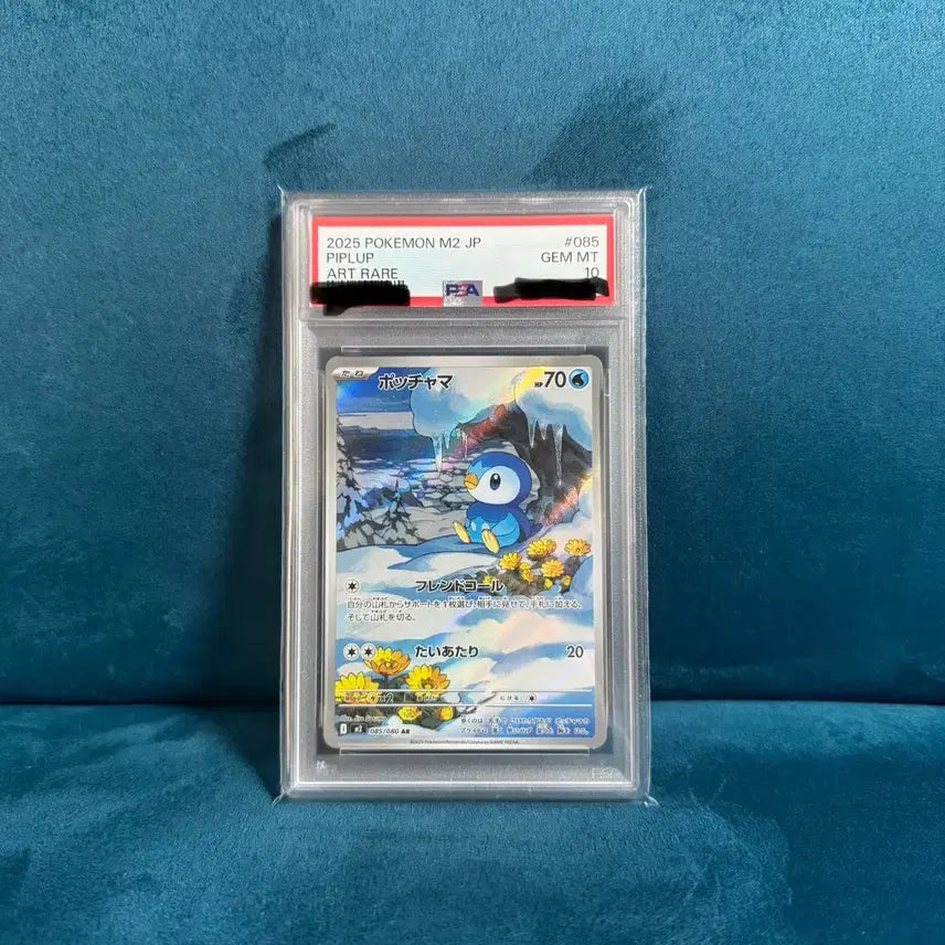 [BUNJANG] Pokemon Starly Card PSA 10 Japanese Version / 포켓몬 카드 팽도리 PSA10 일판