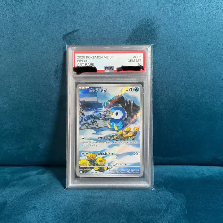 [BUNJANG] Pokemon Starly Card PSA 10 Japanese Version / 포켓몬 카드 팽도리 PSA10 일판