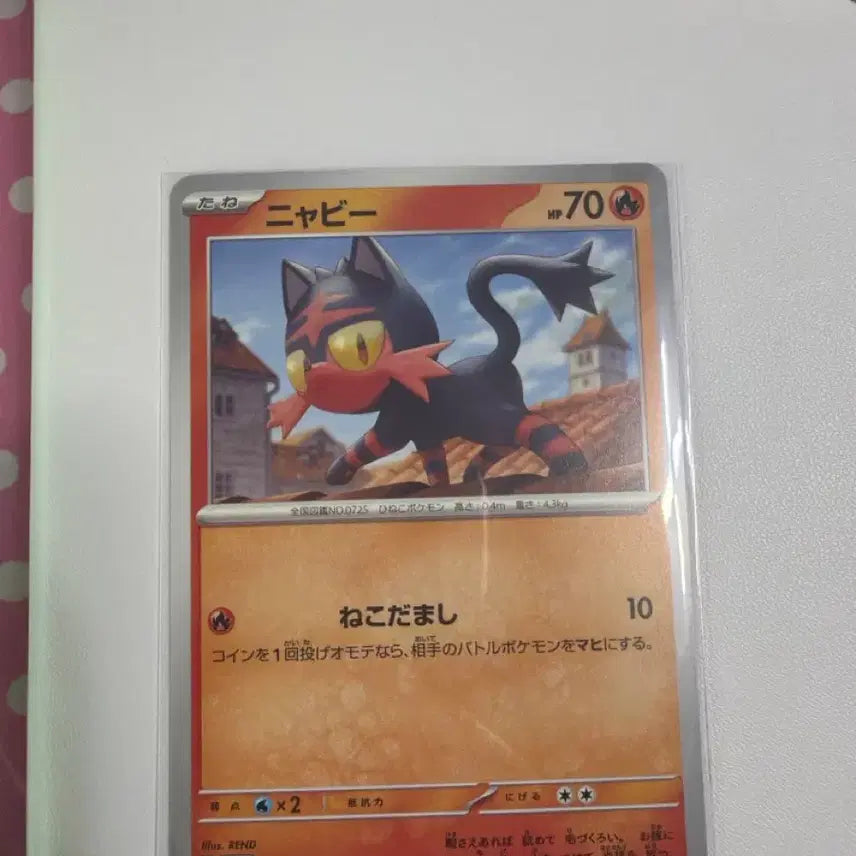 [BUNJANG] Pokemon Card Deck Box Nyaobul Japanese SV5M 020/071 / 포켓몬카드 도감용 덱소스 냐오불 일판 sv5m 020/071