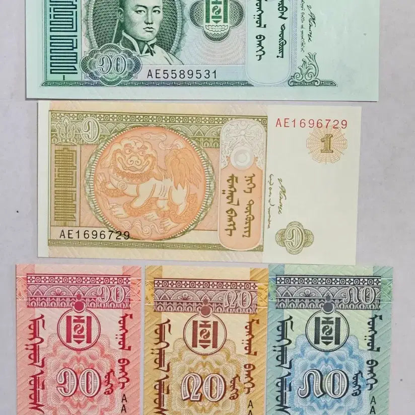 [BUNJANG] Mixed World Banknotes Bundle (Mongolia, Zambia, Russia, China, etc.) / 몽골 잠비아 러시아 중국 등 지폐일괄