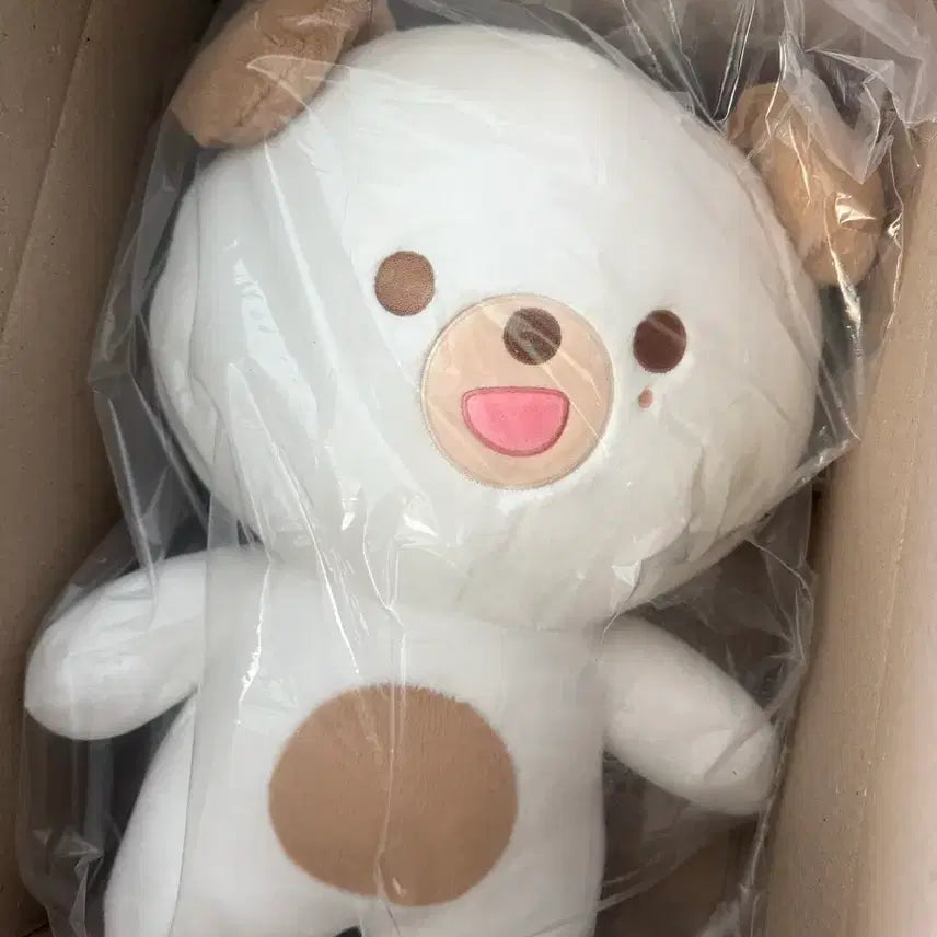 [BUNJANG] DAY6 Dowoon Giant Plush Doll / 데이식스 도운 자쁘멀 자이언트 쁘멀