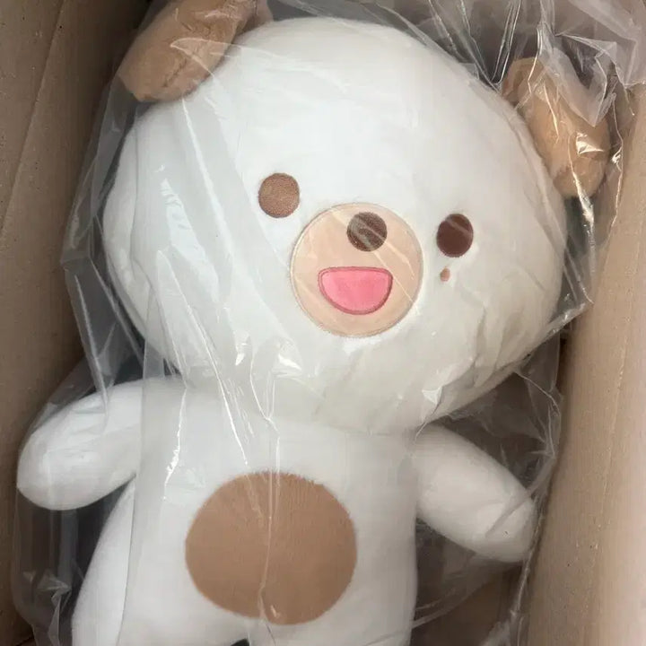 [BUNJANG] DAY6 Dowoon Giant Plush Doll / 데이식스 도운 자쁘멀 자이언트 쁘멀