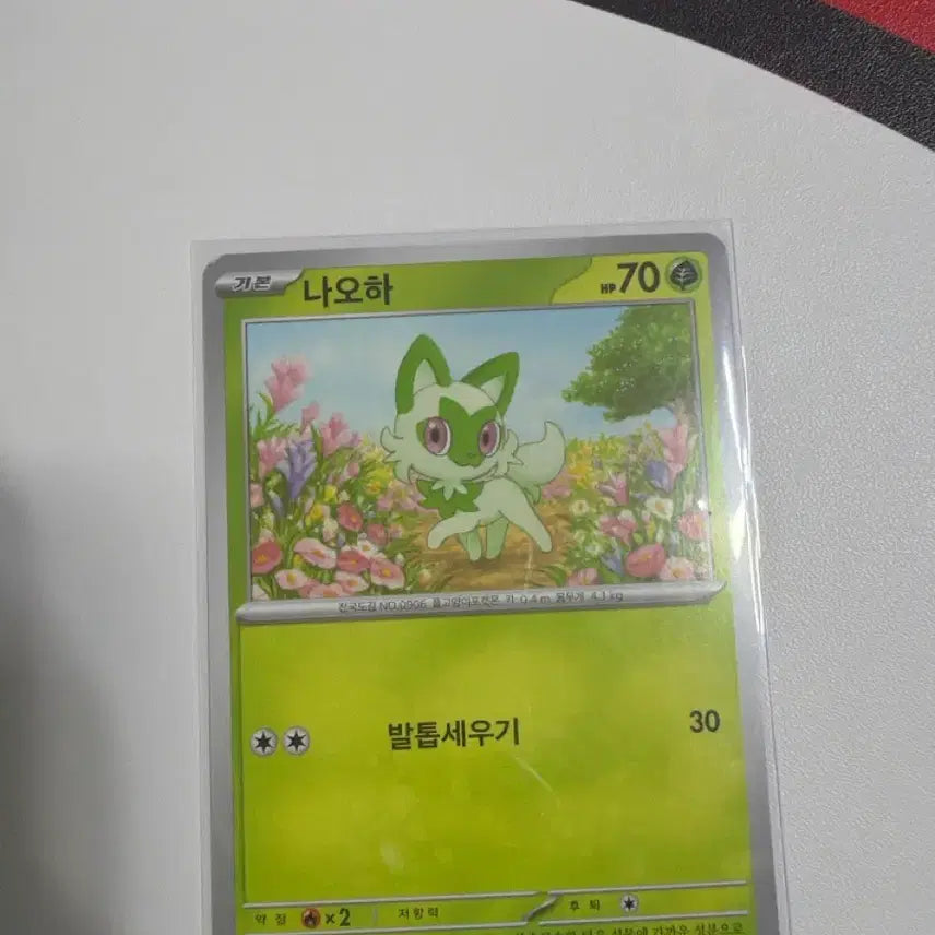 [BUNJANG] Pokemon Card Deck Box Nahoha sv1a 005/073 / 포켓몬카드 도감용 덱소스 나오하 sv1a 005/073