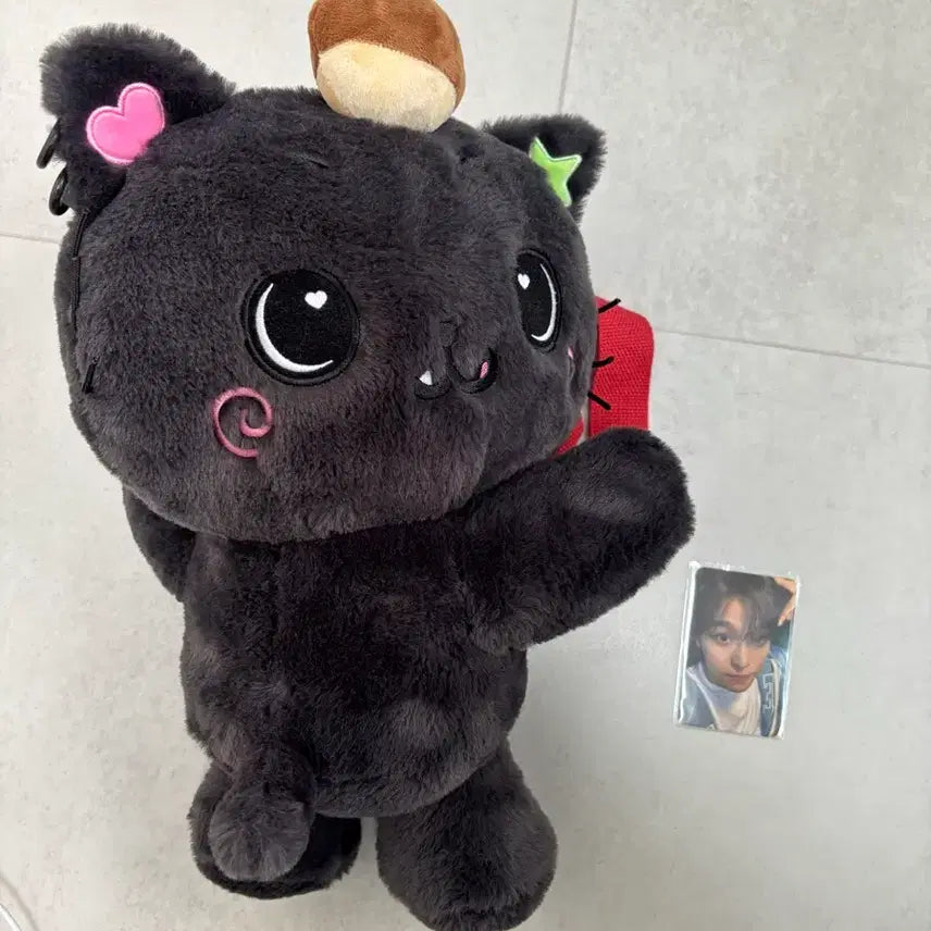 [BUNJANG] NCT WISH Riku Kuri Bag Photocard / 엔시티 위시 리쿠 쿠리 가방 양도 포카 포함