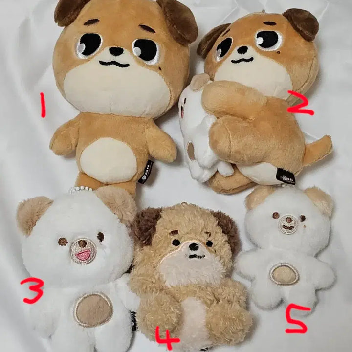 [BUNJANG] Day6 Dowoon Dennimals Pouch Keychain Bundle Set / 데이식스 도운 데니멀즈 굿즈 엠디 처분 쁘멀 일본 파우치 키링