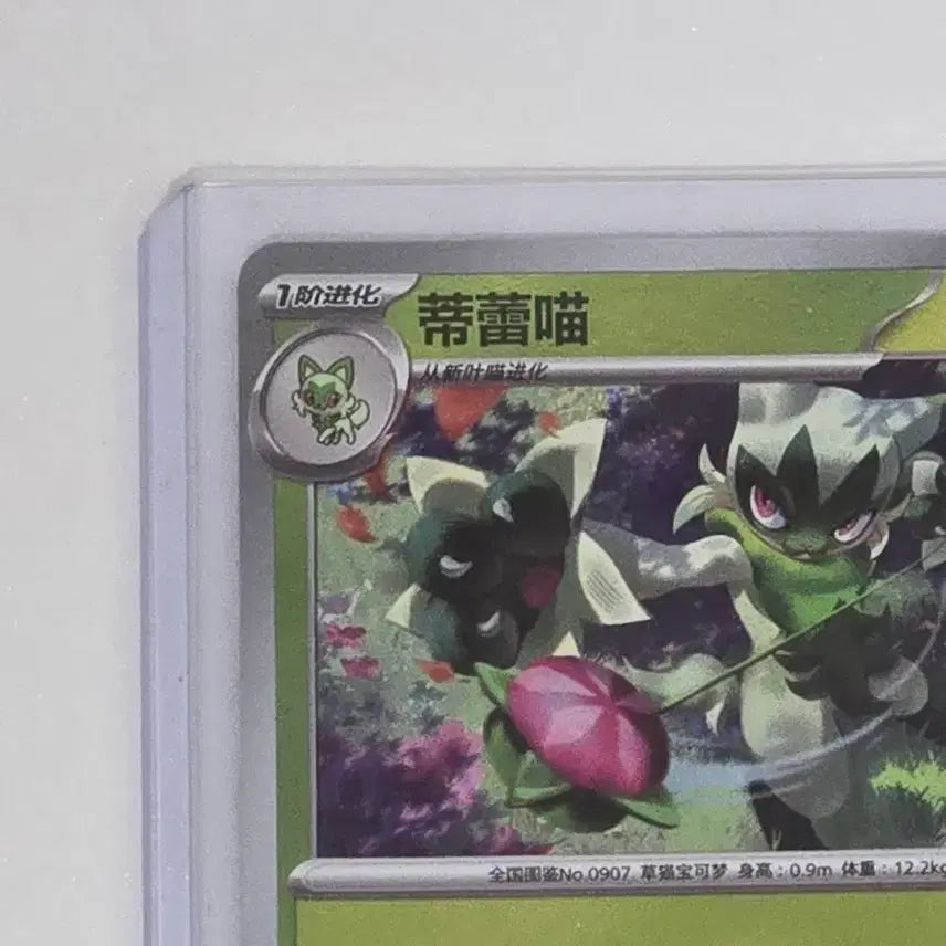 [BUNJANG] Pokemon Card Narute Master Ball / 포켓몬카드 중판 나로테 마스터볼