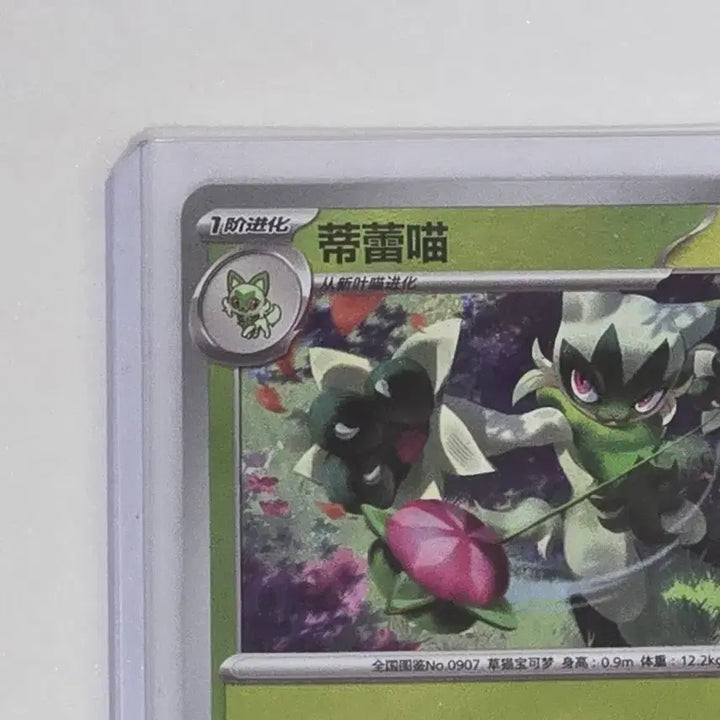 [BUNJANG] Pokemon Card Narute Master Ball / 포켓몬카드 중판 나로테 마스터볼