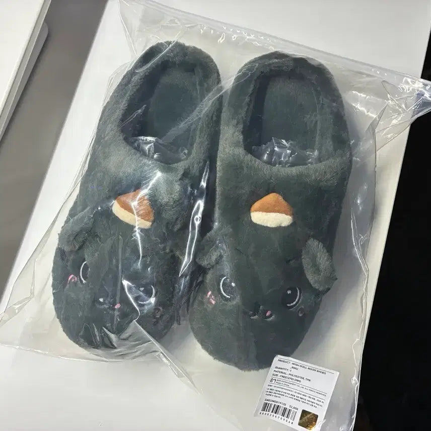 [BUNJANG] NCT WISH Ricky Room Shoes / 엔시티위시 팝업 리쿠 룸슈즈 / 쿠리 위시돌