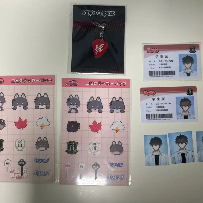 [BUNJANG] Scochism KOYO Tempest Bundle Set / 스코시즘 코요 템페스트 굿즈 일괄 3.0에 양도합니다