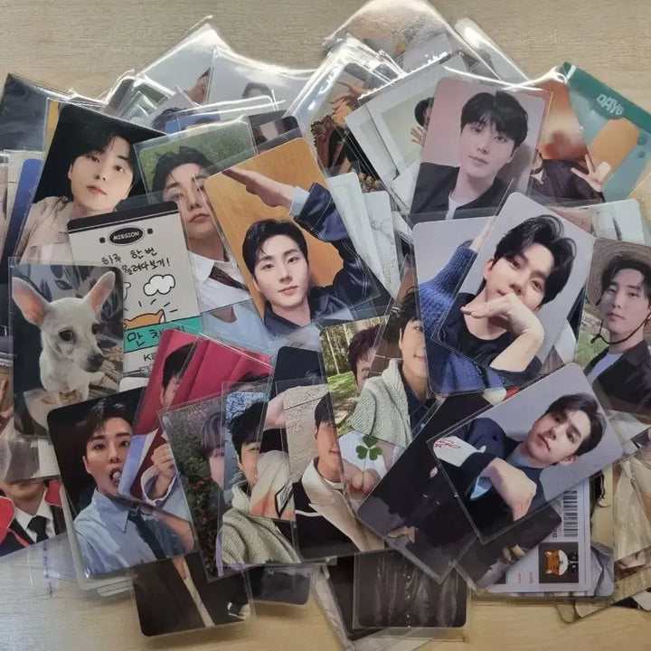 [BUNJANG] Day6 Sungjin Young K Wonpil Dowoon Bundle Set - Approximately 220 Photocards / 데이식스 성진 영케이 원필 도운 포카 약 220장 일괄양도