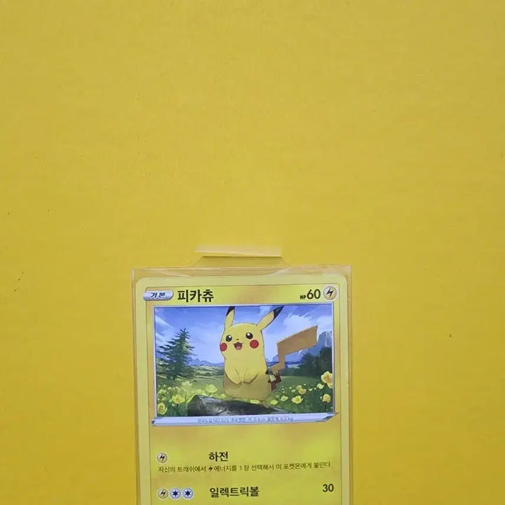 [BUNJANG] Pokemon Pikachu Card / 포켓몬 카드 피카츄