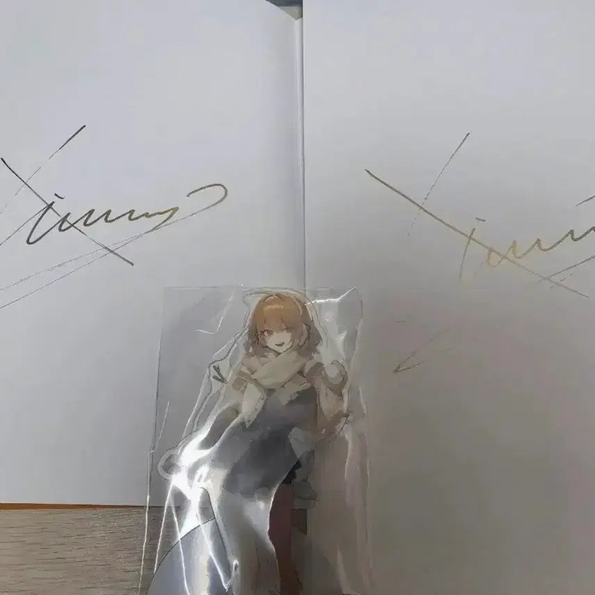 [BUNJANG] Shysheng Nikke Anise Goods Set / 씨셩 니케 아니스 굿즈 세트 팝니다