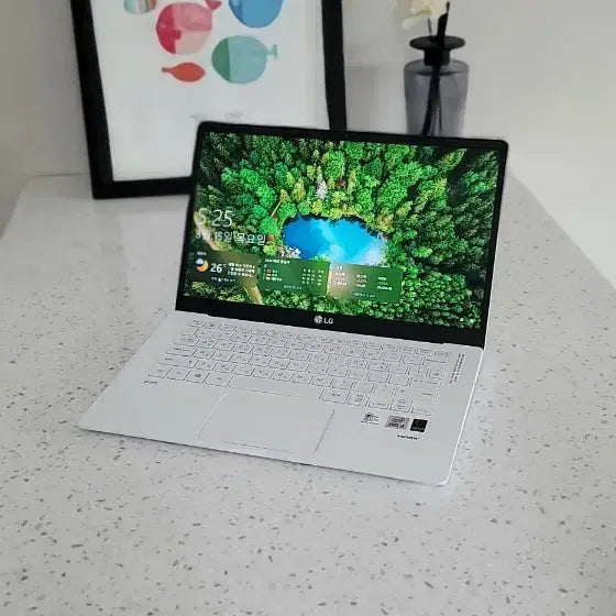 [BUNJANG] LG Gram 14Z90N Laptop - 10th Gen i5, 14-inch IPS Display / (예민한분께 추천)선물용 LG 그램 14Z90N i5 10세대