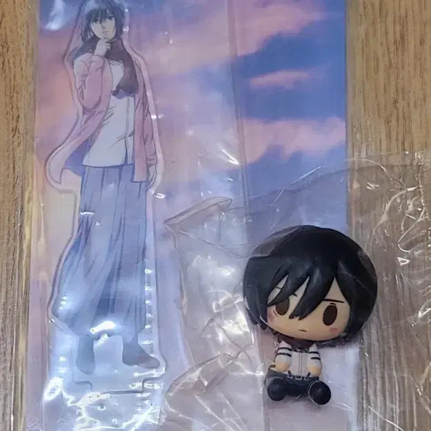 [BUNJANG] Attack on Titan Ichiban Kuji E &amp; H Prize Mikasa Acrylic Stand + Chocoinu / 진격의 거인 제일복권 E상,H상 미카사 아크릴 스탠드 + 초코노코