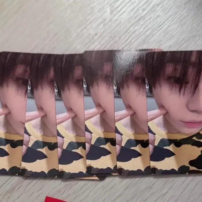[BUNJANG] Yul Everline Photocard / 롱샷 오율 에버라인 포카 양도합니다!!