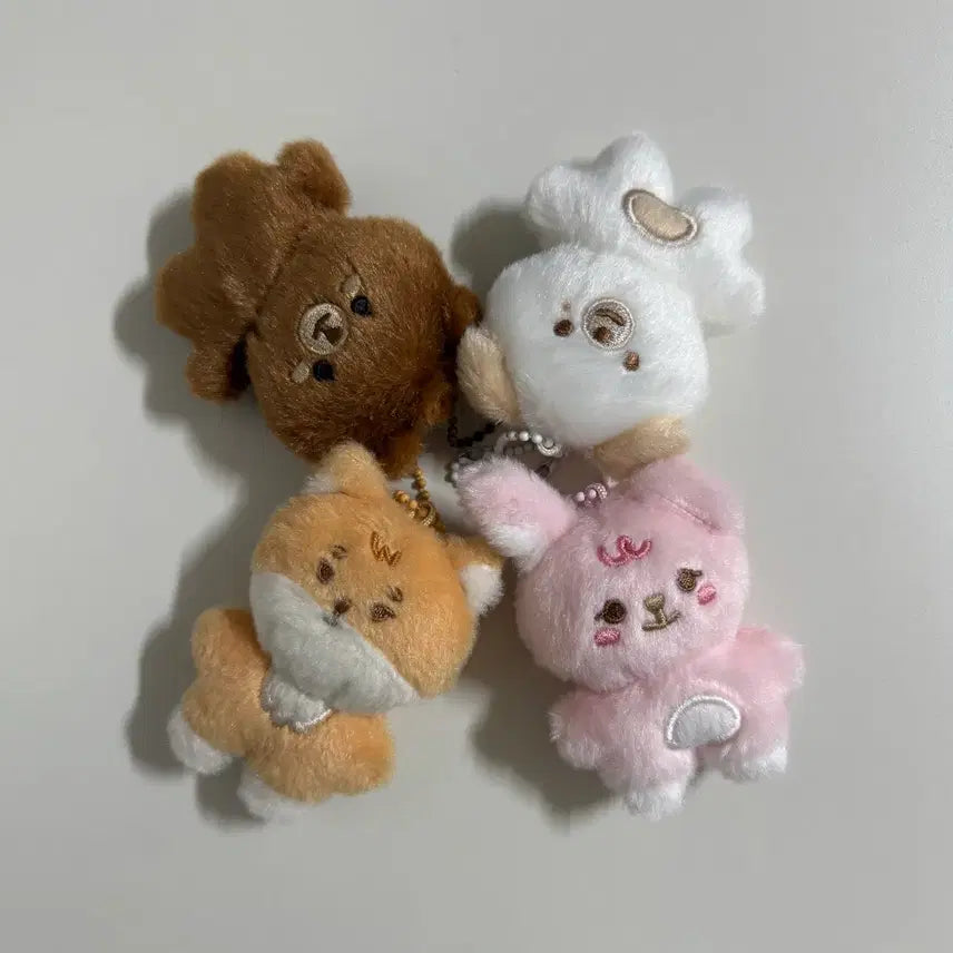 [BUNJANG] DAY6 Bbyeongbyeongmal Bangkefildon Bundle Set / 데이식스 쁘쁘멀 방케필돈