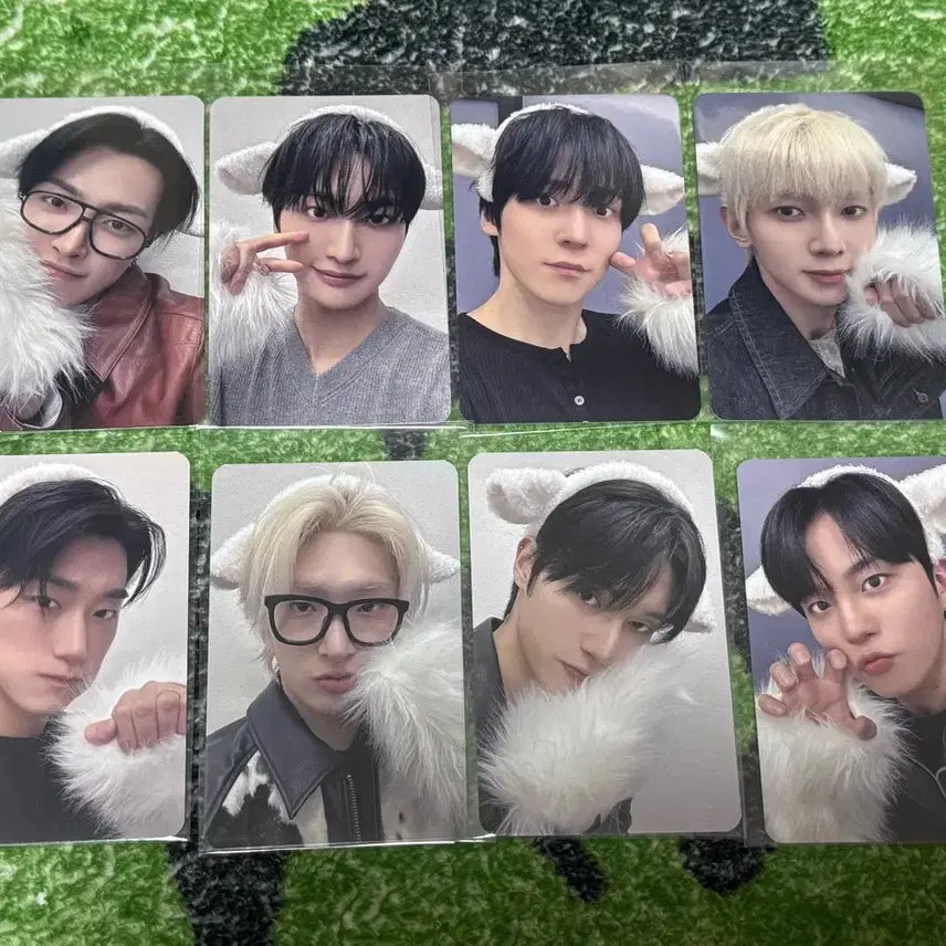 [BUNJANG] ATEEZ Makestar Bosongtiez Photocard Set / 에이티즈 메이크스타 보송티즈 8장+포카앨범 8장 1set 구성