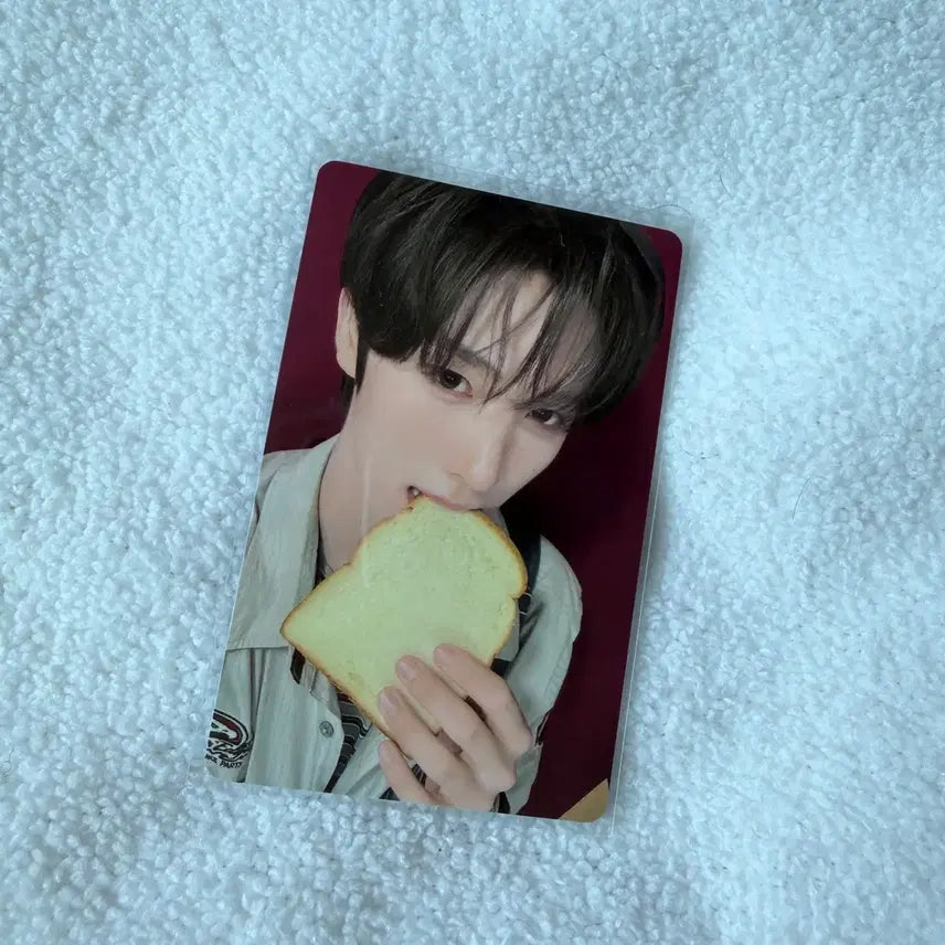 [BUNJANG] TWS Youngjae Play Hard IsWeep POB Photocard / 투어스 play hard 이즈위 미공포 양도 빵포카 영재