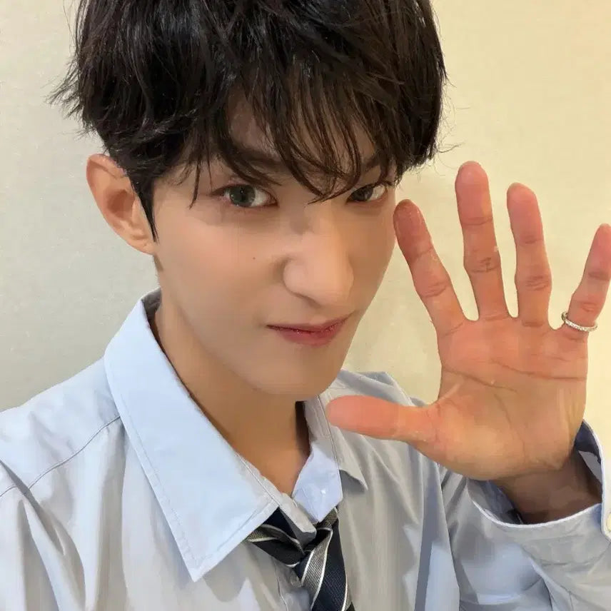 [BUNJANG] Seventeen Nugu &