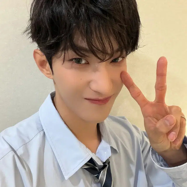 [BUNJANG] Seventeen Nugu &