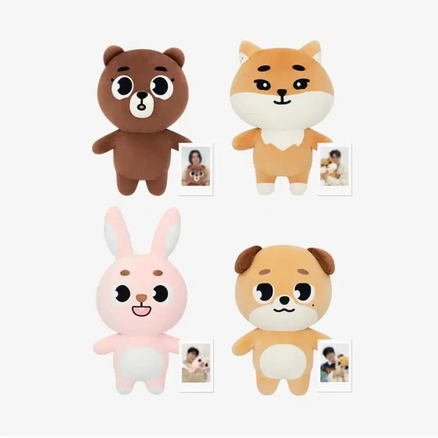 [BUNJANG] DAY6 Giant Denimals Danny Photocard Holder / 데이식스 자이언트 데니멀즈 방