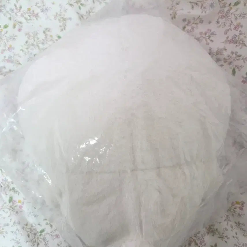 [BUNJANG] Nagano Market Nongdamgom Fuwamocchi Plush / 나가노마켓 농담곰 후와모찌 인형