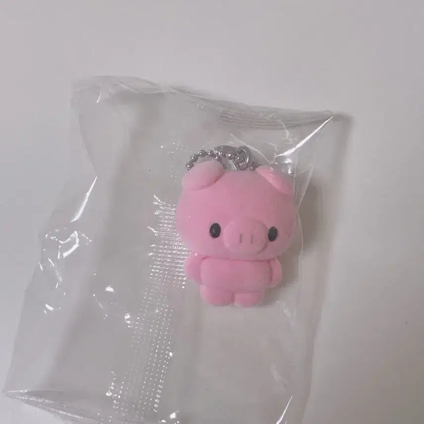 [BUNJANG] Chimmy Chimmyz Flokey Keyring Gacha Pig / 치미치미즈 플로키 키링 가챠 돼지