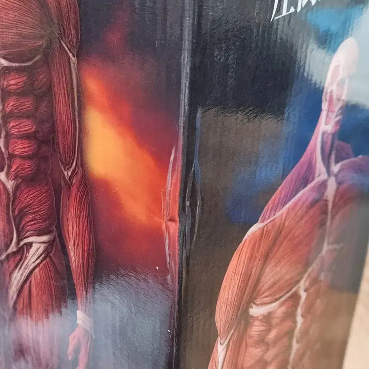 [BUNJANG] Attack on Titan Colossal Titan Last One Prize Figure (Sealed) / [미개봉 오늘만34] 진격의 거인 초대형 거인 라스트원