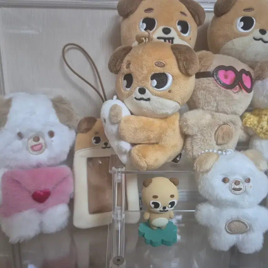[SOLD OUT] 데이식스 도운 돈 인형 일괄 판매