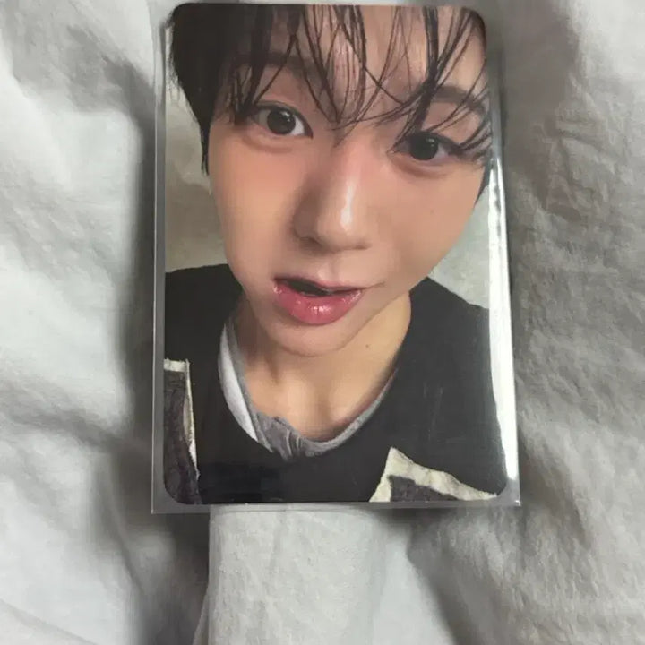 [BUNJANG] NCT WISH Ryo &