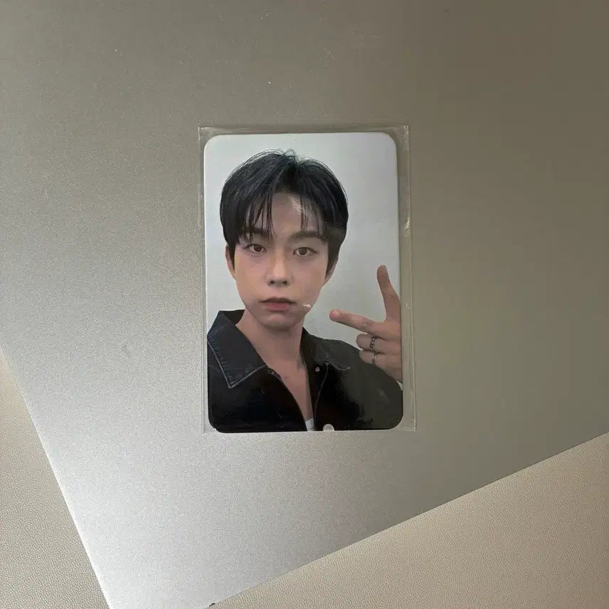 [BUNJANG] LUCY Dingo Childish Island Version Photocard Sangyeop / 루시 딩고 선스틱 차일디쉬 아일랜드 버전 포카 상엽 플로 flo 컨페티