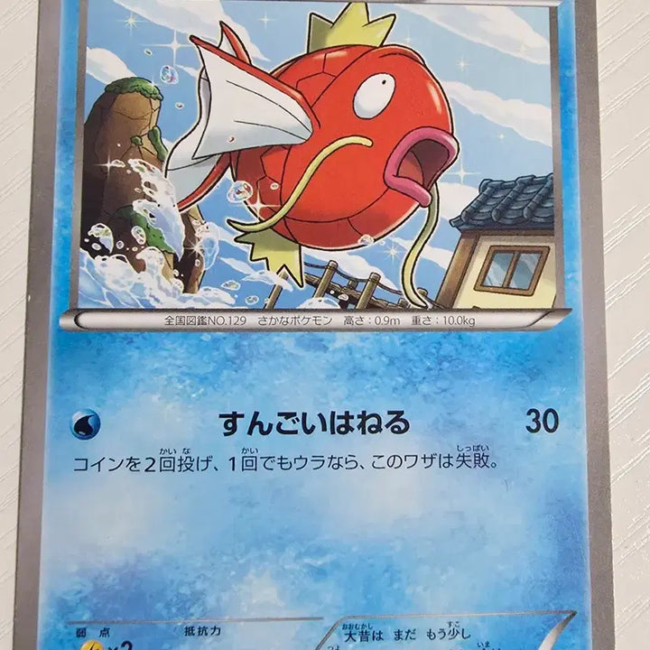 [BUNJANG] Pokemon Magikarp (Japanese) XY Series Trading Card / 포켓몬카드 일판 잉어킹 XY시리즈