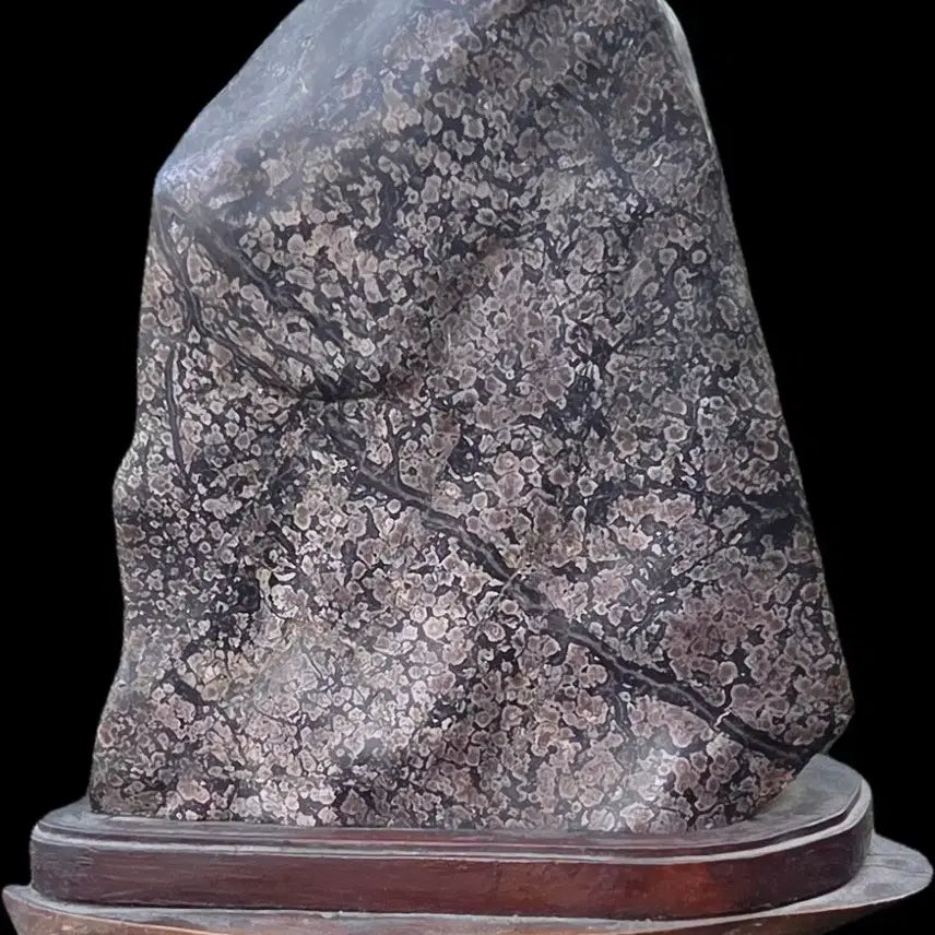 [BUNJANG] Cheongsong Flower Stone with Natural Stone Stand / *수석 자연석 받침대 포함 ((청송꽃돌))인테리어 소품