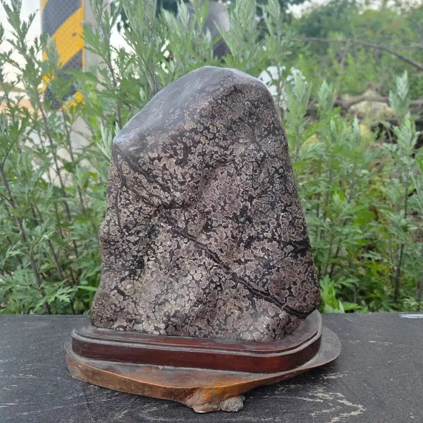 [BUNJANG] Cheongsong Flower Stone with Natural Stone Stand / *수석 자연석 받침대 포함 ((청송꽃돌))인테리어 소품