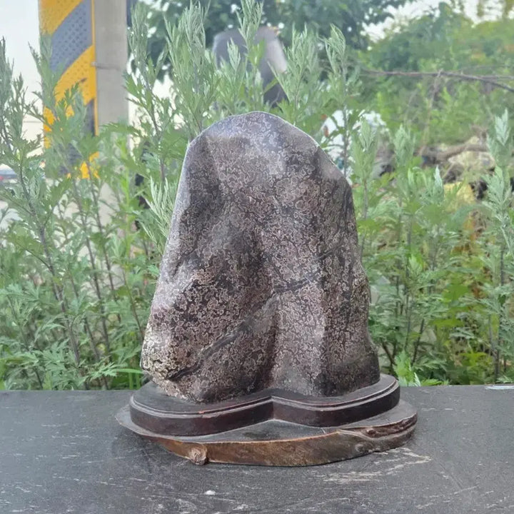 [BUNJANG] Cheongsong Flower Stone with Natural Stone Stand / *수석 자연석 받침대 포함 ((청송꽃돌))인테리어 소품