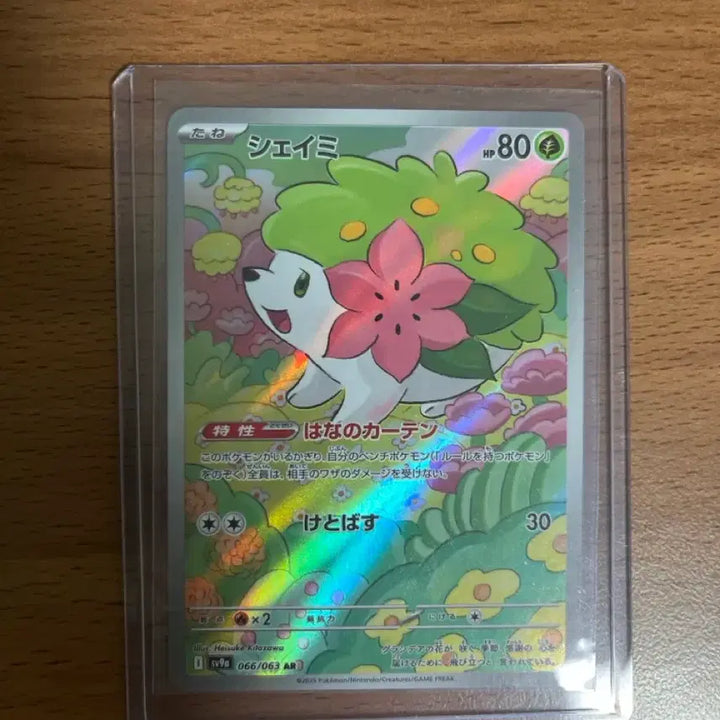 [BUNJANG] Pokemon Card Japanese Edition Shaymin AR / 포켓몬카드 일본판 쉐이미 AR