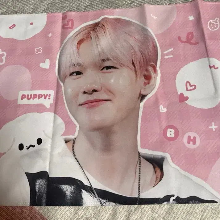 [BUNJANG] Baekhyun Puppy Slogan / 백현 슬로건 양도합니다